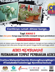 Aedes: Pasu Dan Alas Pasu Bunga